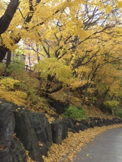 定山渓温泉の紅葉