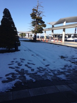 雪の旭川空港