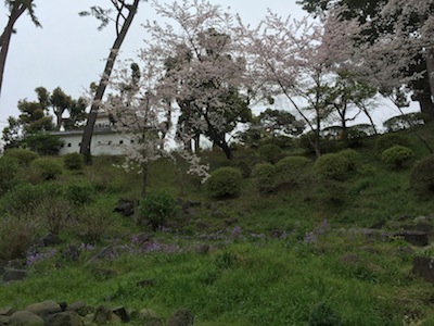 小田原城